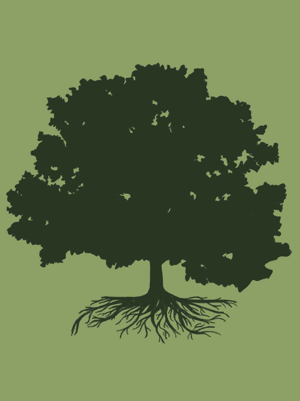 The Oaks Christian Academy The Oaks Christian Academy logo showing a healthy large oak tree with lots of leaves, strong deep roots, and the words "The Oaks Christian Academy" at the bottom of the logo.