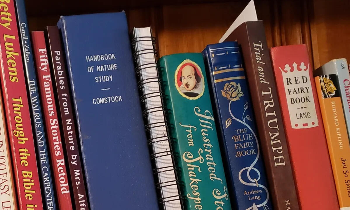 Books for Charlotte Mason curriculum Books for Charlotte Mason curriculum sitting in a wooden book shelf.